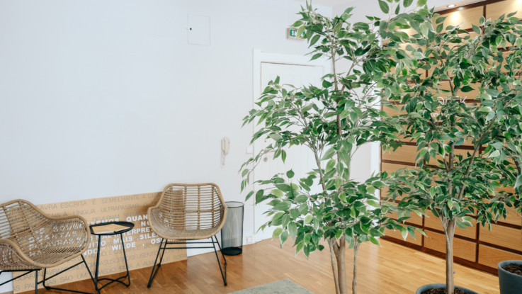 Internet de Alta Velocidade